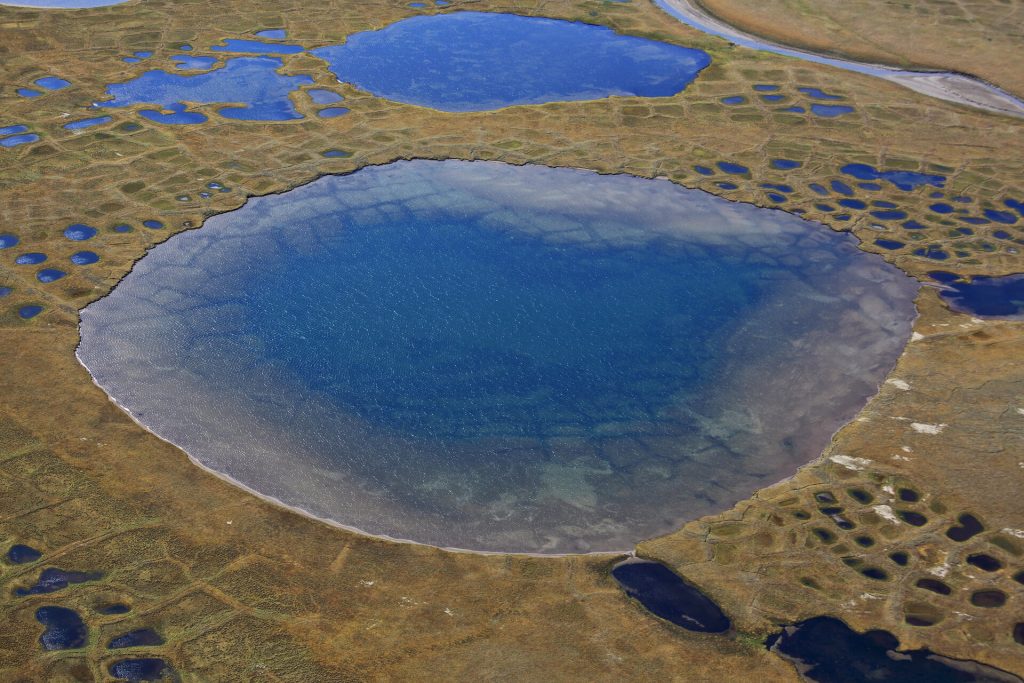 Polygonal tundra and lakes landscape in summer, Taymyr peninsula, aerial view