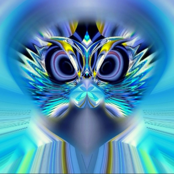 Owl by Zvetan