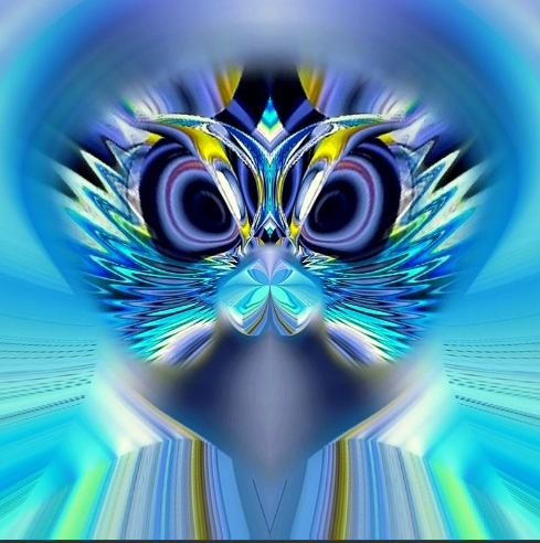 Owl by Zvetan